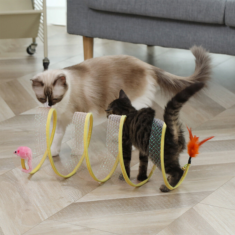 Cat Spring - COMPRE 1 LEVE 2