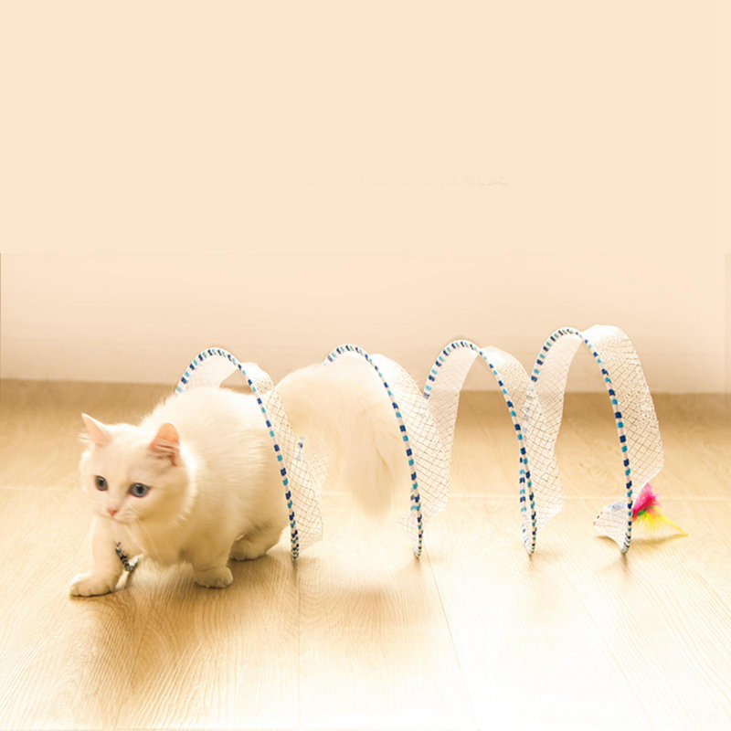 Cat Spring - COMPRE 1 LEVE 2