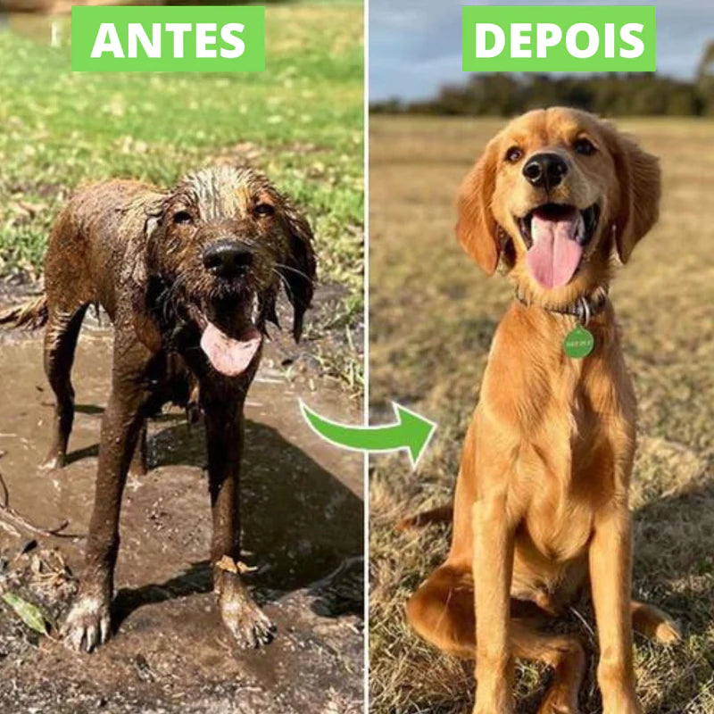 UPPJet - Pistola Pulverizadora com compartimento para Sabão/Shampoo