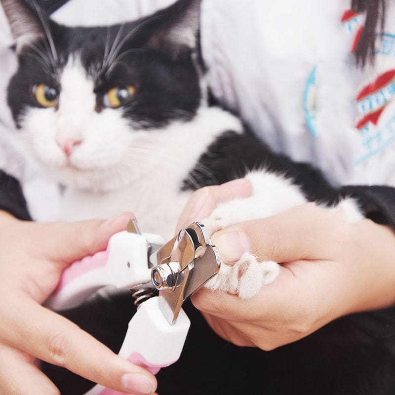 Cortador de Unhas Pet