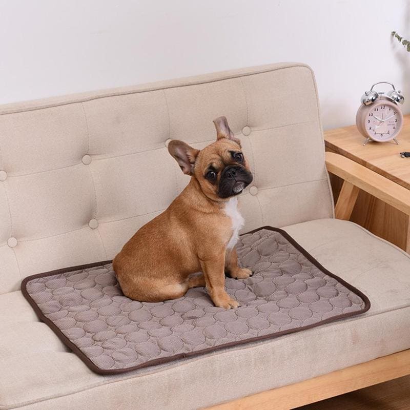 Tapete Higiênico e Absorvente para Cachorros