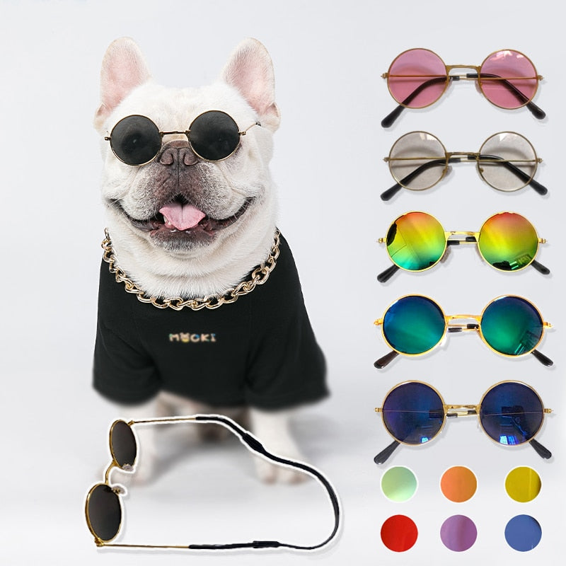 Óculos Solar para Pets