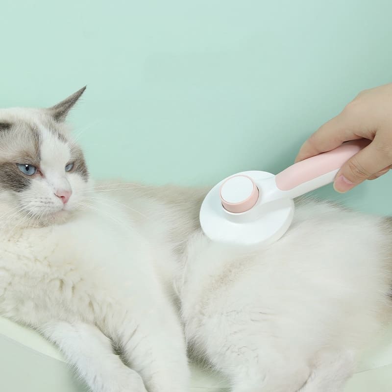 Escova Removedora de Pelos para Pet