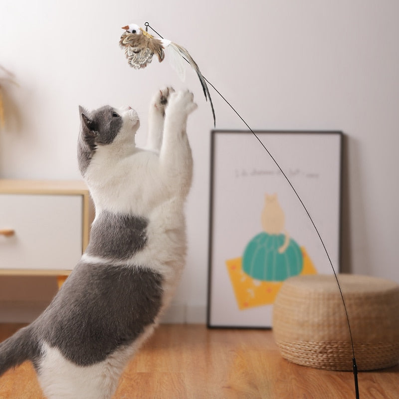 Brinquedo para Gatos - Vara com Pássaro