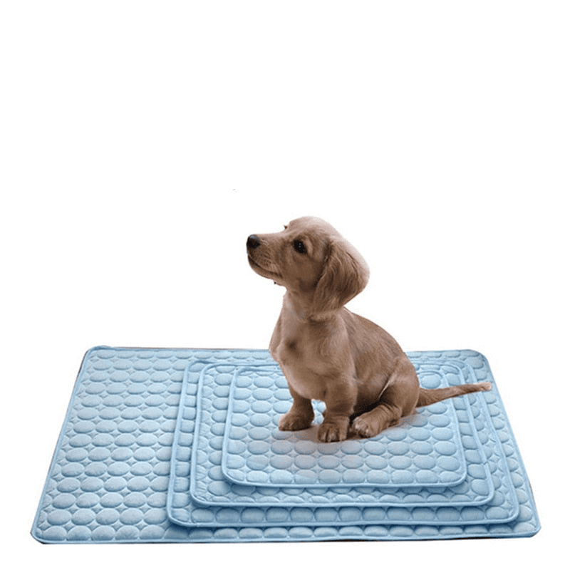 Tapete Higiênico e Absorvente para Cachorros