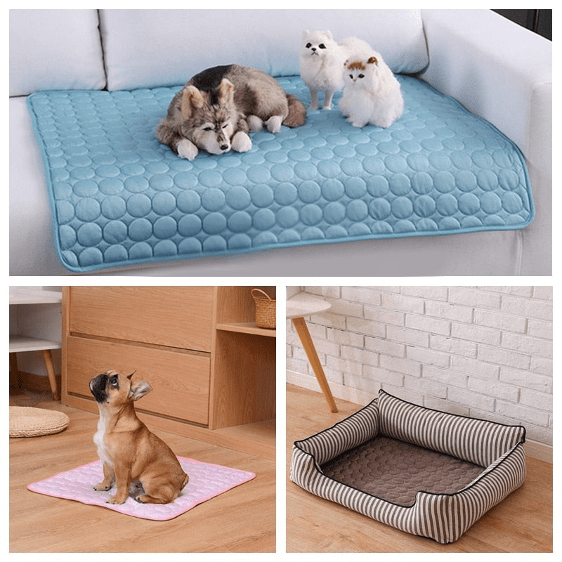 Tapete Higiênico e Absorvente para Cachorros