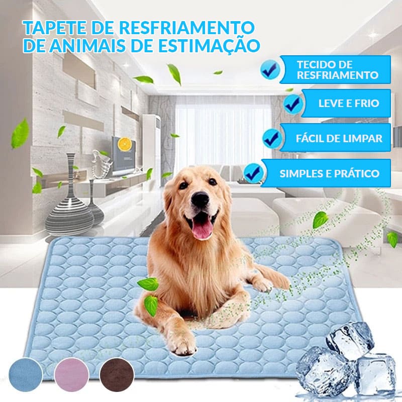 Tapete Higiênico e Absorvente para Cachorros